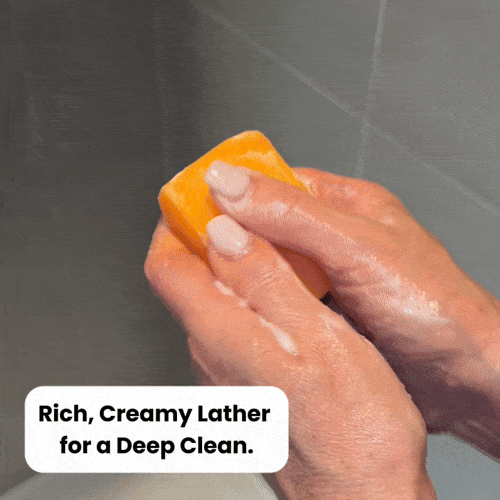 Navrada™ Deodorizing Persimmon Soap
